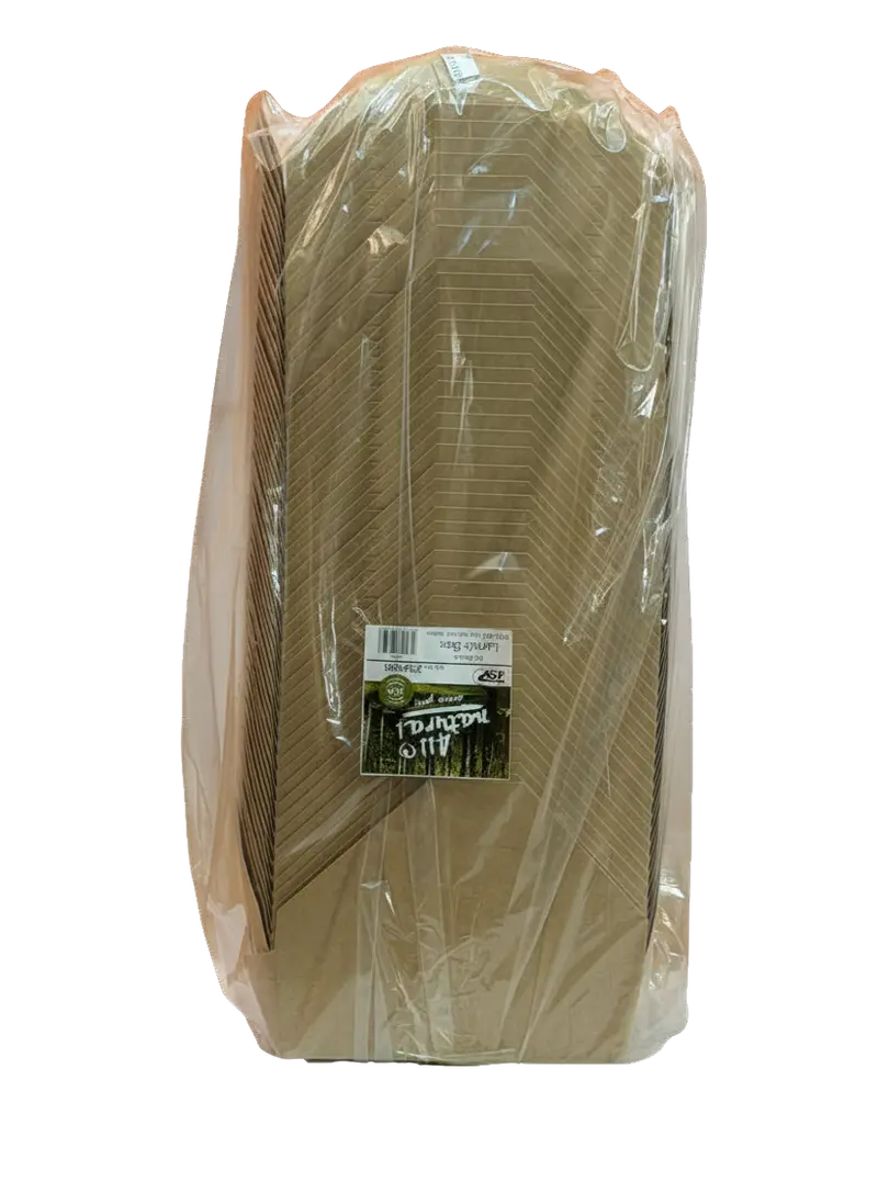 1331-Mealbox Nature 20x14x6,5cm 234888 100Stk.