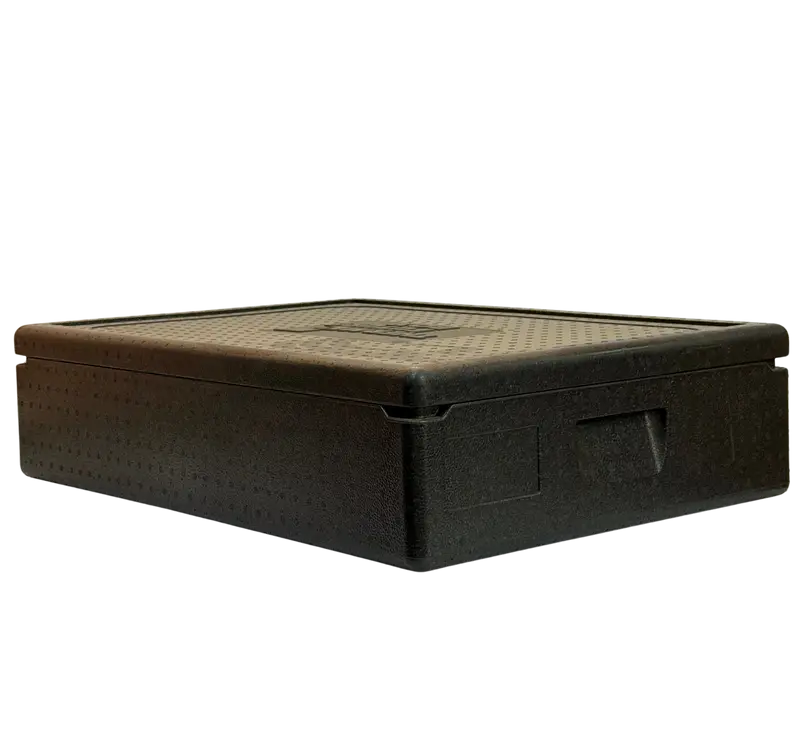 3976-Transportbox 12633 62x42x16cm