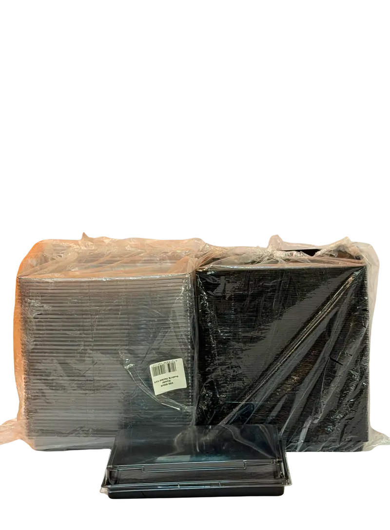 4510-Sushi Schale + Deckel 255x185x20 PET 414 100Stk.