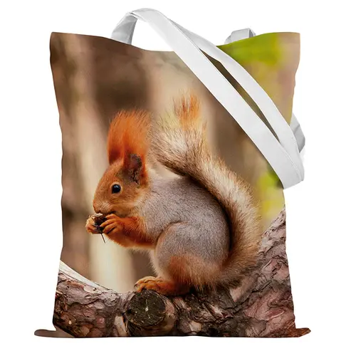 Baumwolltasche Eichhörnchen mit einer Nuss 35x45