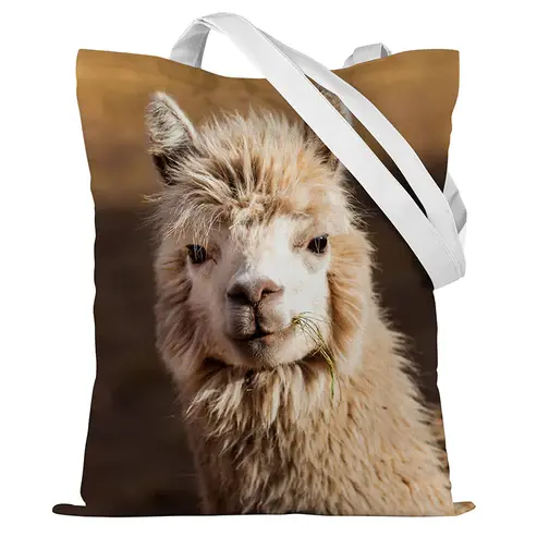 Baumwolltasche Lama 35x45cm