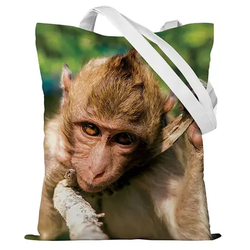 Baumwolltasche Makake mit einem Zweig 35x45