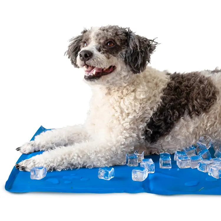 Blau Kühlmatte für Hunde und Katzen