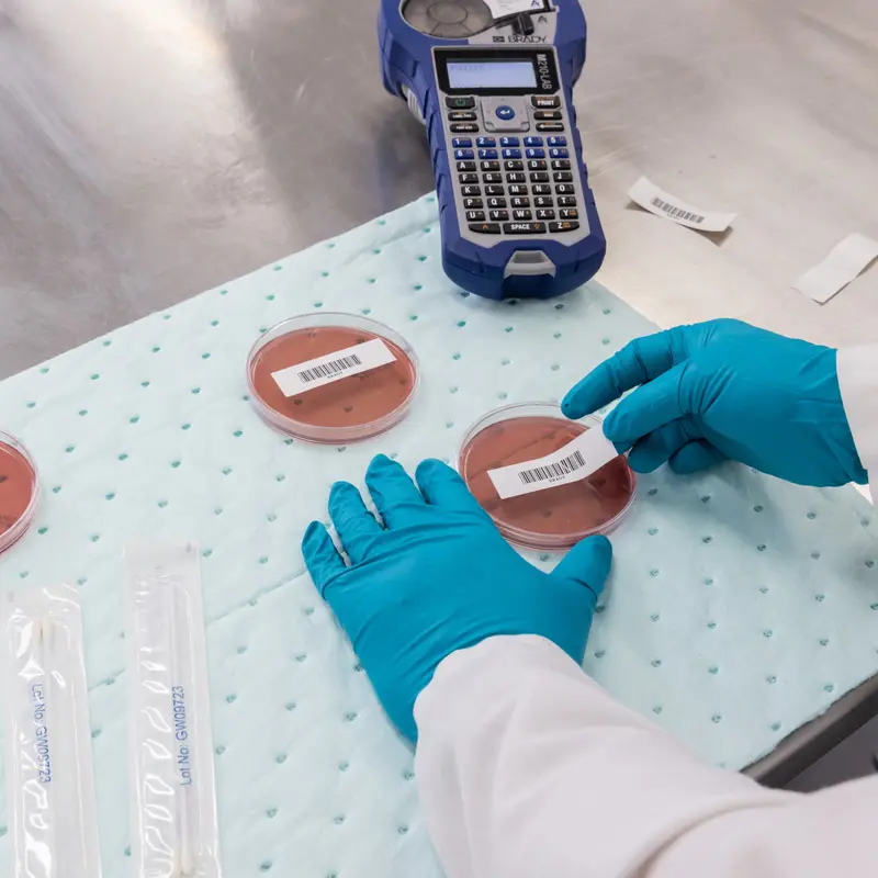 Etiketten mit Angabe zur Sterilisation für den Thermotransferdruck