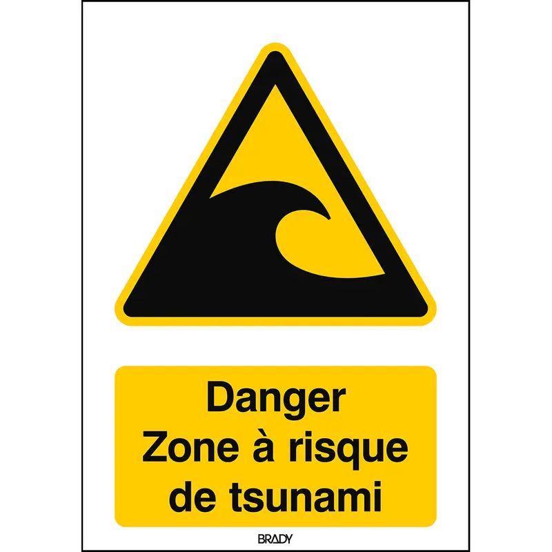 ISO Sicherheitskennzeichnung - Warnung Tsunami-Gefahrenzone