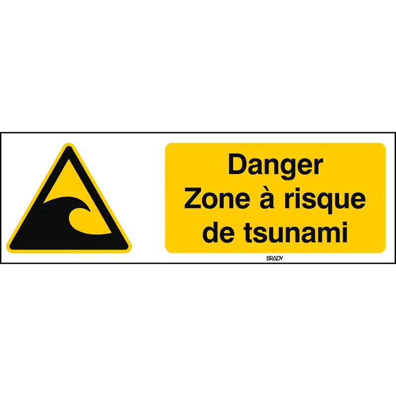 ISO Sicherheitskennzeichnung - Warnung Tsunami-Gefahrenzone
