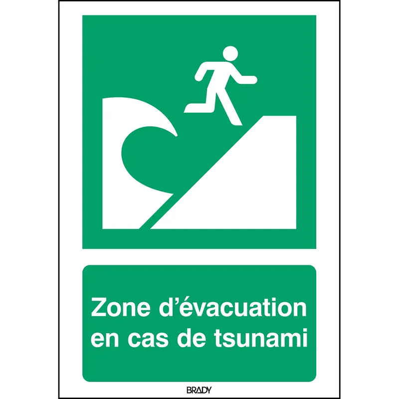 ISO-Sicherheitsschild - Evakuierungsbereich bei Tsunami