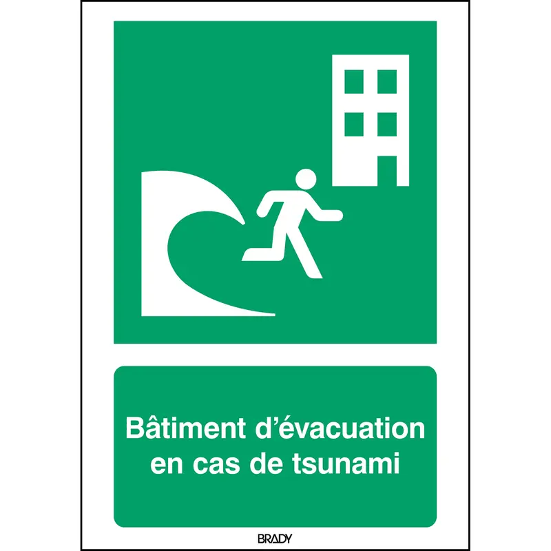 ISO-Sicherheitsschild - Evakuierungsgebäude bei Tsunami
