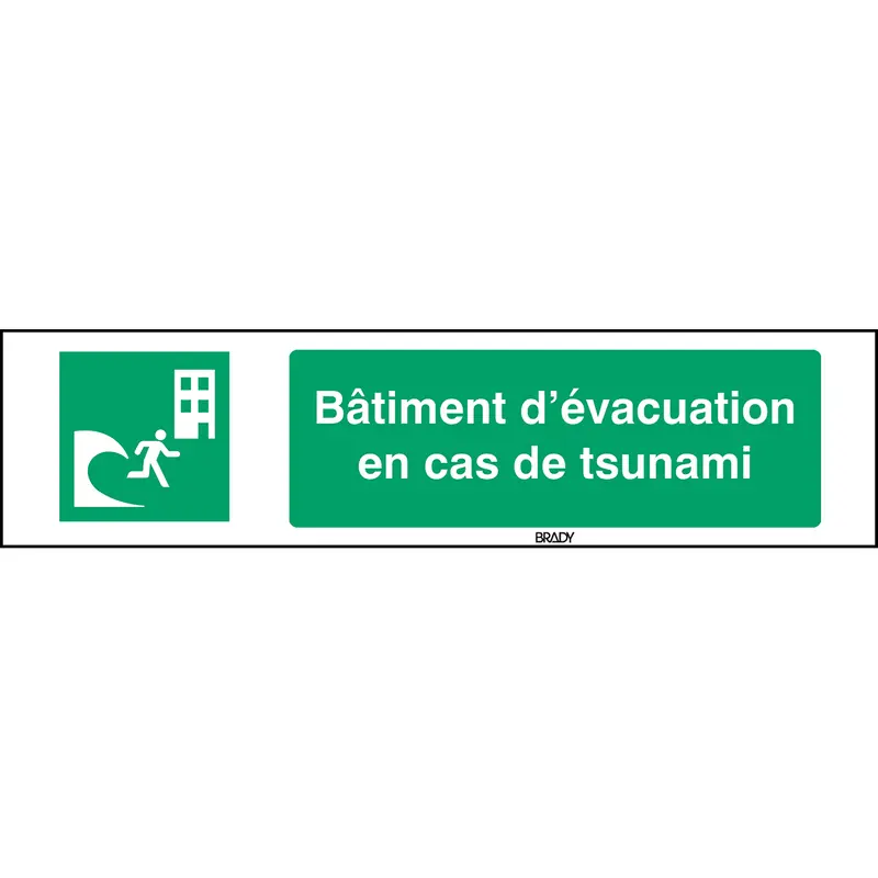 ISO-Sicherheitsschild - Evakuierungsgebäude bei Tsunami