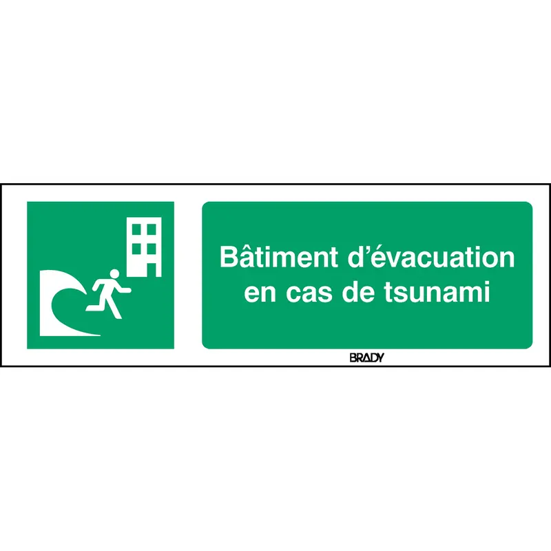 ISO-Sicherheitsschild - Evakuierungsgebäude bei Tsunami