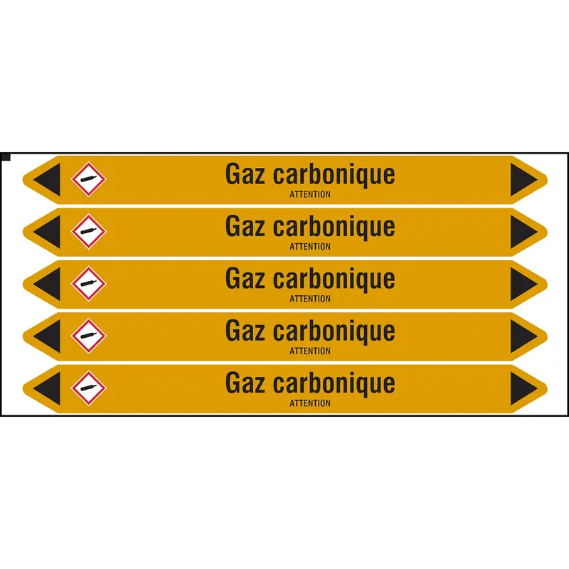Marqueurs individuels sur carte avec flèches prédécoupées, avec pictogrammes (produit francophone)