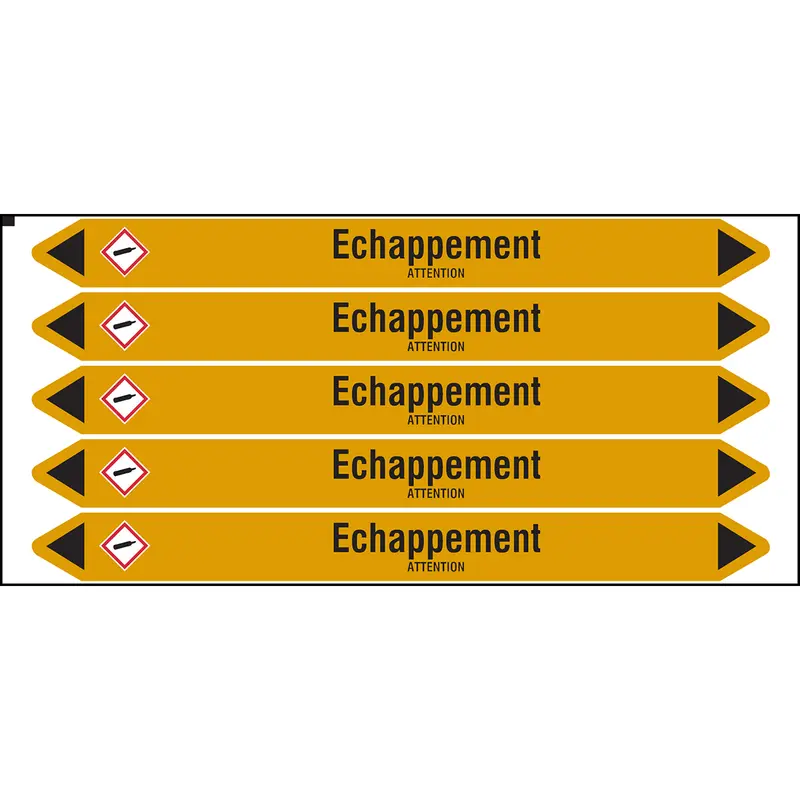 Marqueurs individuels sur carte avec flèches prédécoupées, avec pictogrammes (produit francophone)