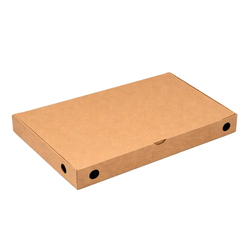 Pinsakarton Unbedruckt Kraft | 23x38x5 cm Braun | 4200 Stück (Palette)