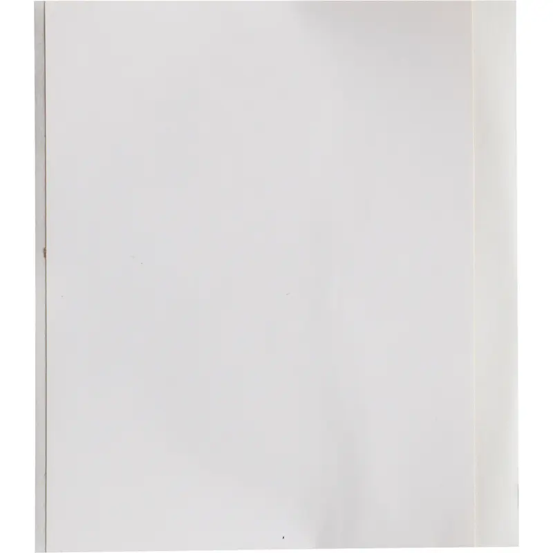Polyvinylfluorid-Band für die Drucker BBP33/i3300