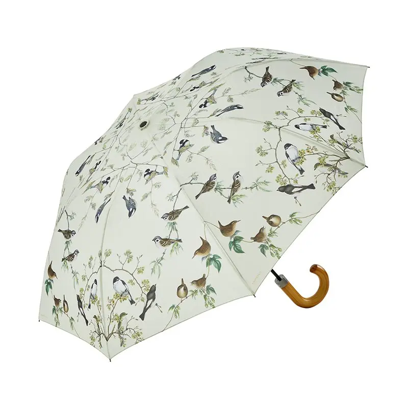 Regenschirm Vögel