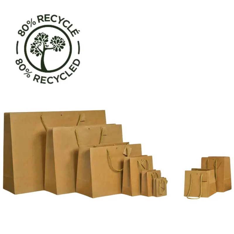 Sac boutique kraft brun Chic Nature 175 g/m² – 12 formats