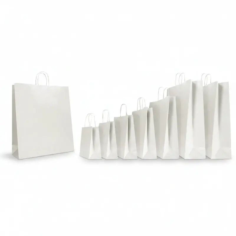 Sac kraft blanc poignées torsadées — 7 formats