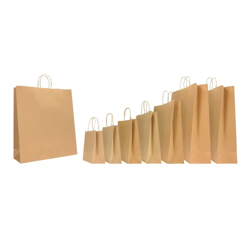 Sac kraft brun poignées torsadées — 7 formats, blister ou carton