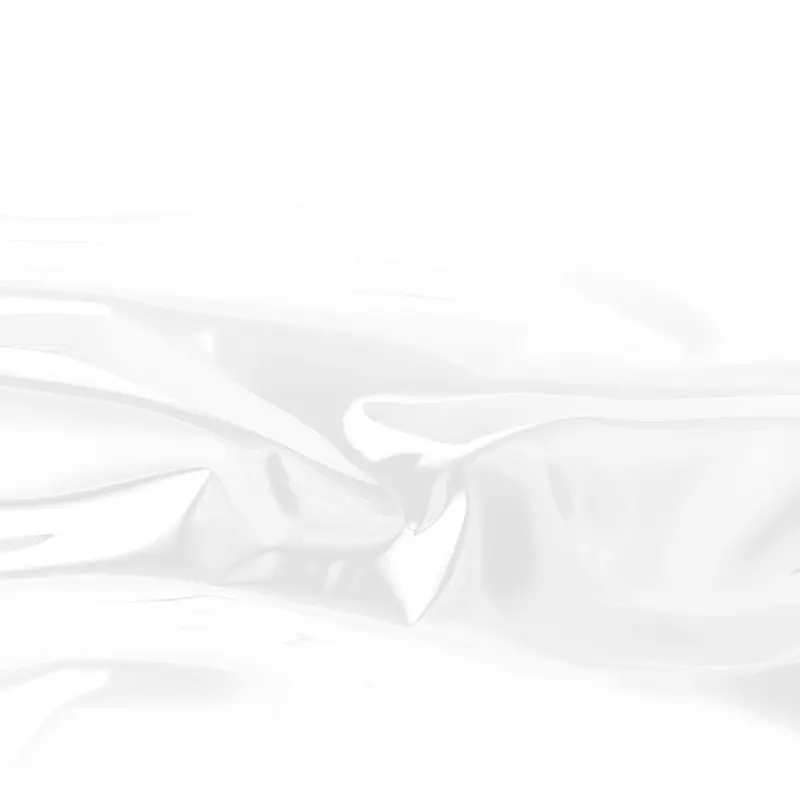 Sachets polypropylène transparents – 100 pièces
