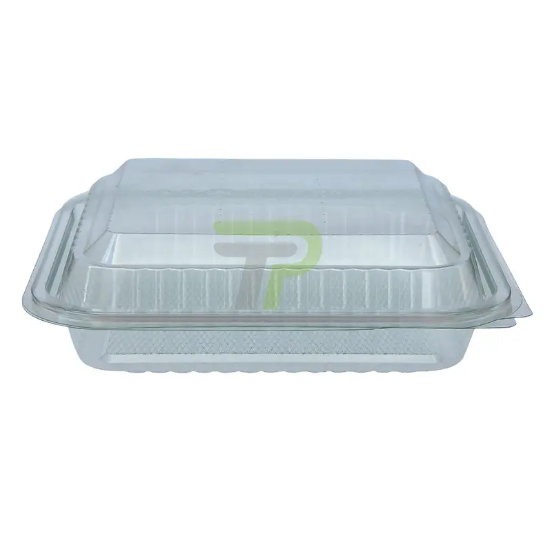 Salatschale Transparent Klappbox 220mm x 190mm x 65mm