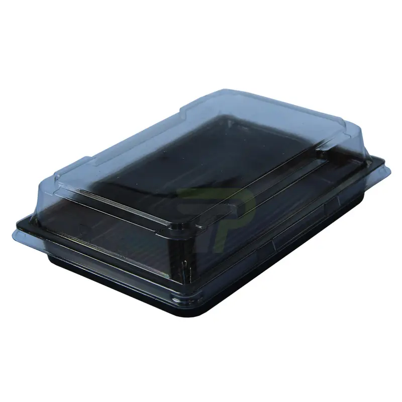 Sushi‑Box 163×113×17 mm, PET mit transparentem Deckel – 500 St./Karton