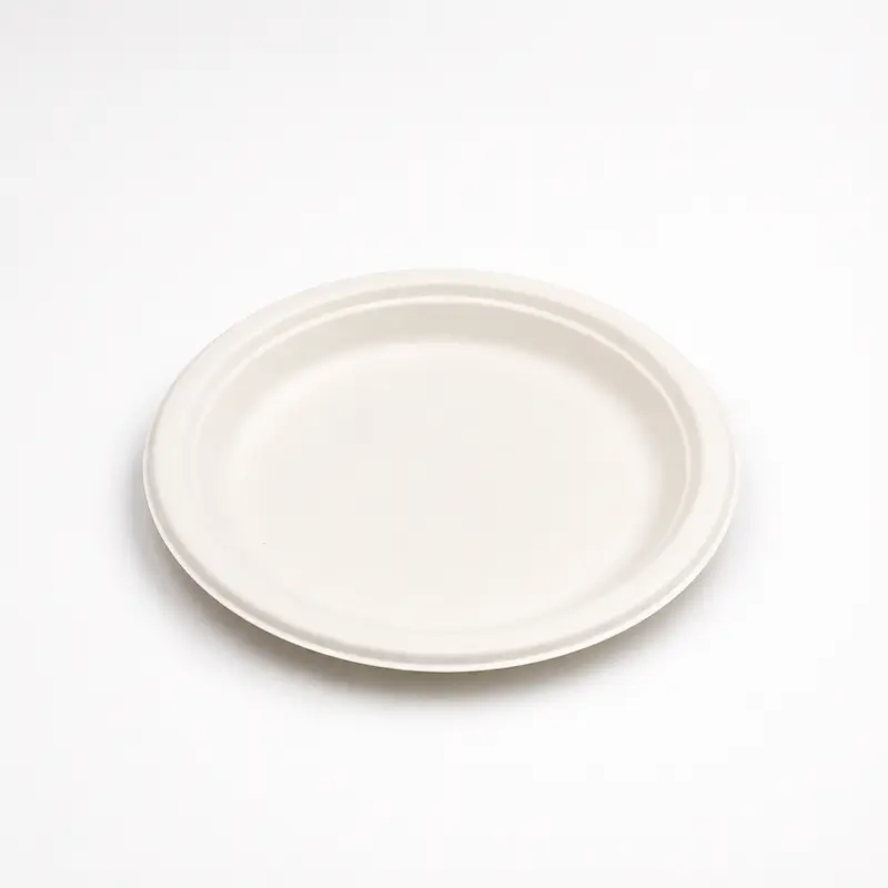Teller Ø 22 cm, Bagasse, ungeteilt, 300 Stk.