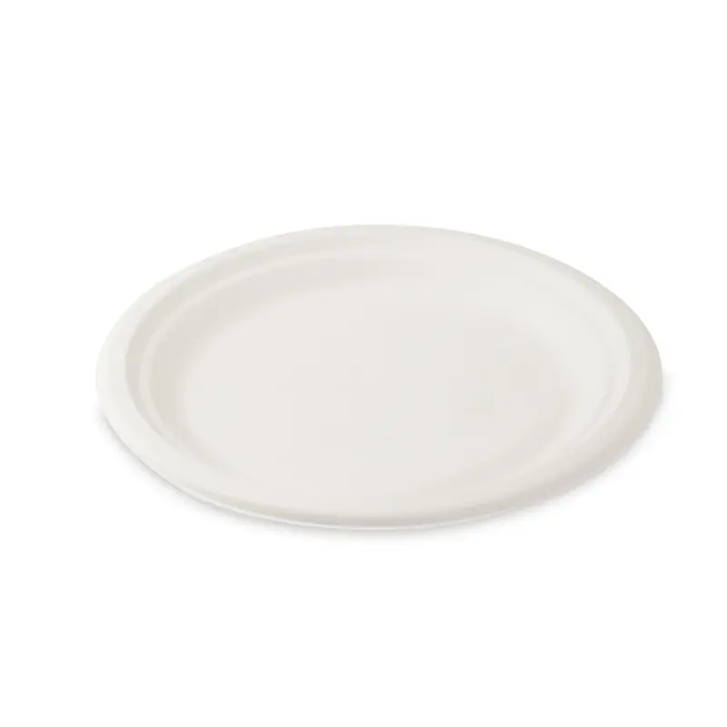 Teller (Zuckerrohr-Bagasse) Ø22cm