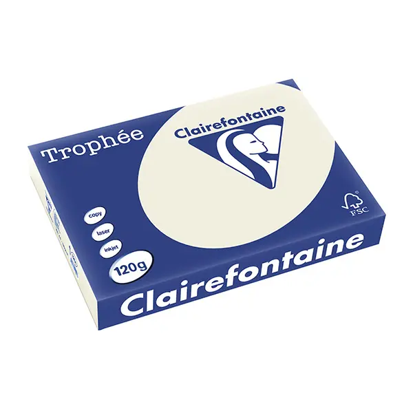 Trophée Clairefontaine, grau , 120g/m², A4